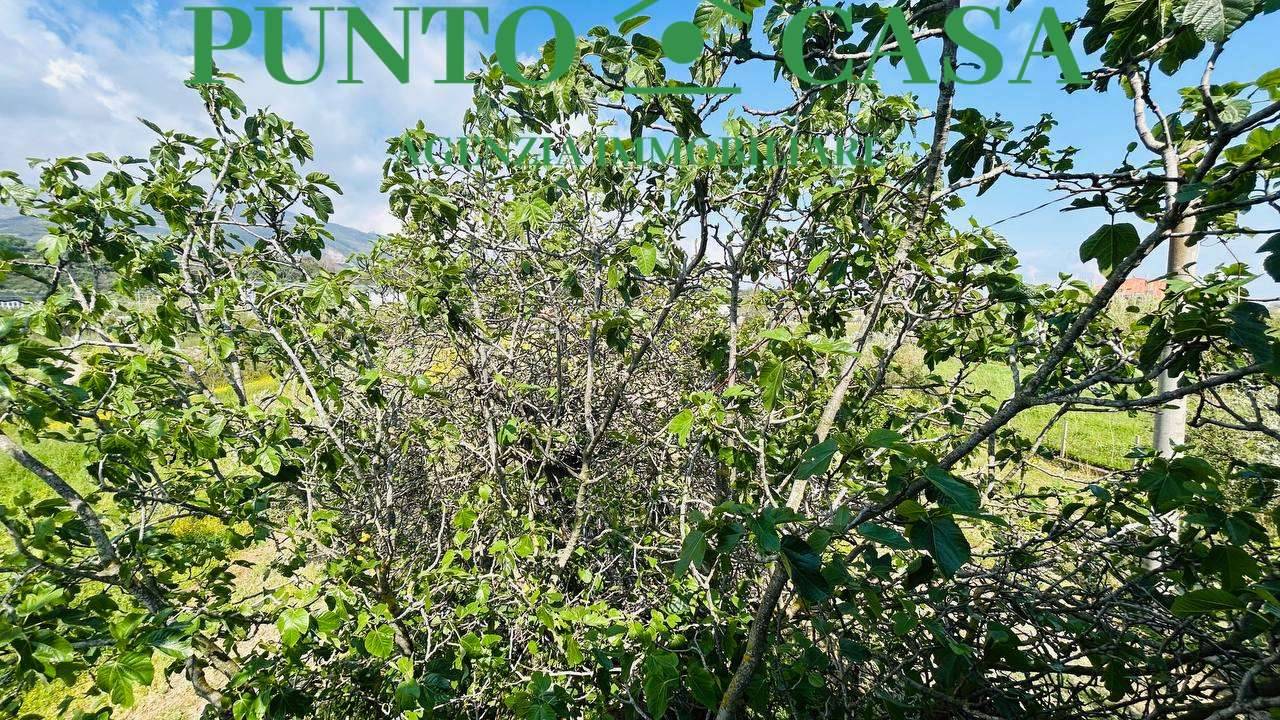  - foto 8