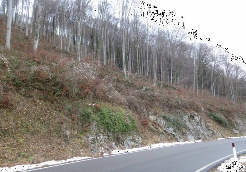  - foto 2