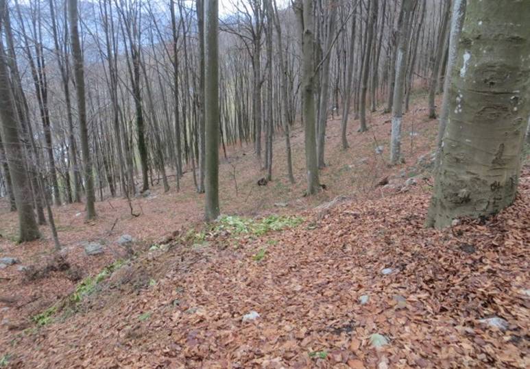  - foto 7