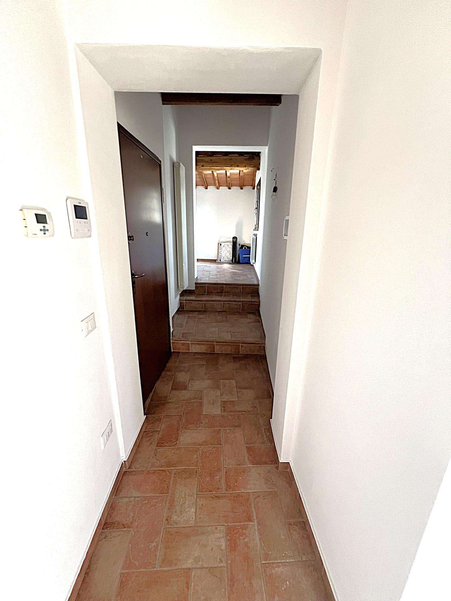  - foto 19