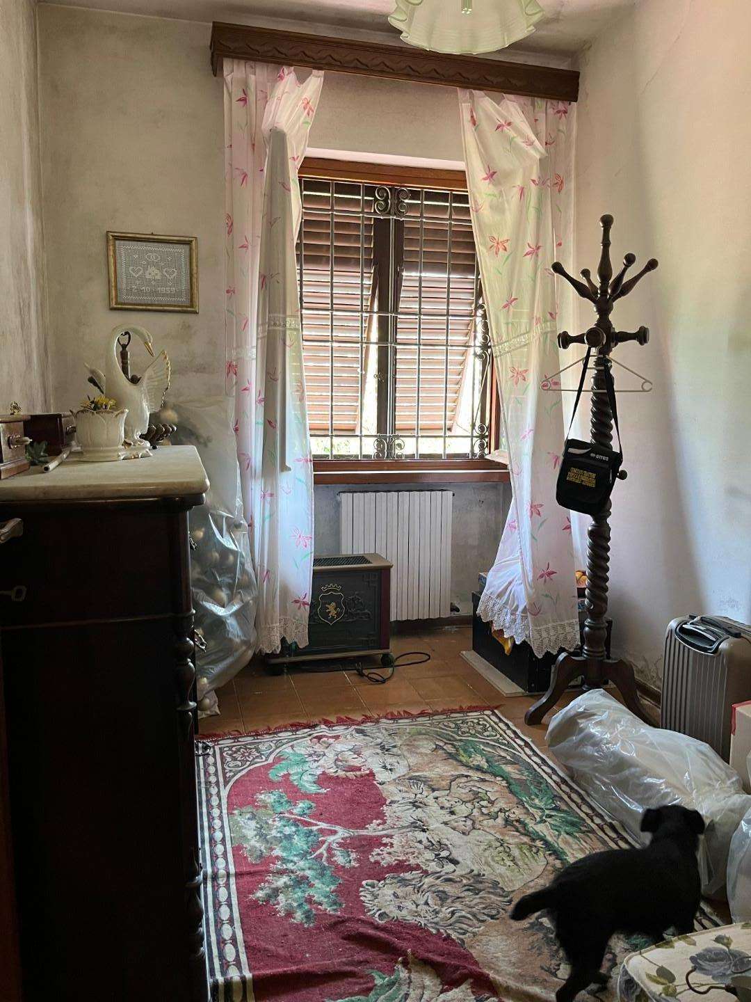  - foto 15