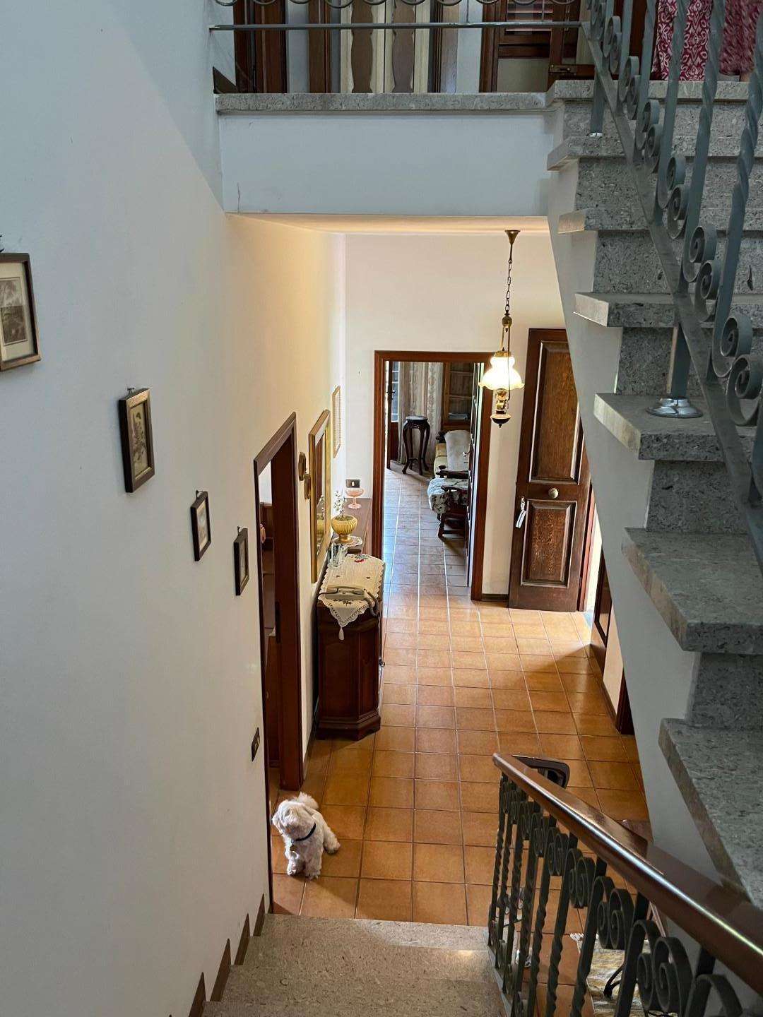  - foto 26