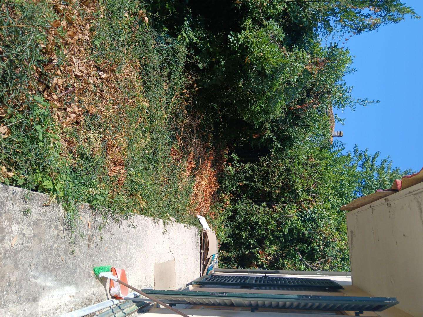  - foto 21