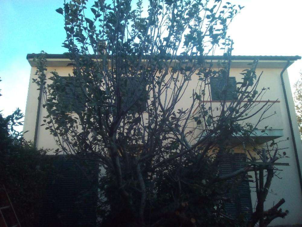  - foto 45