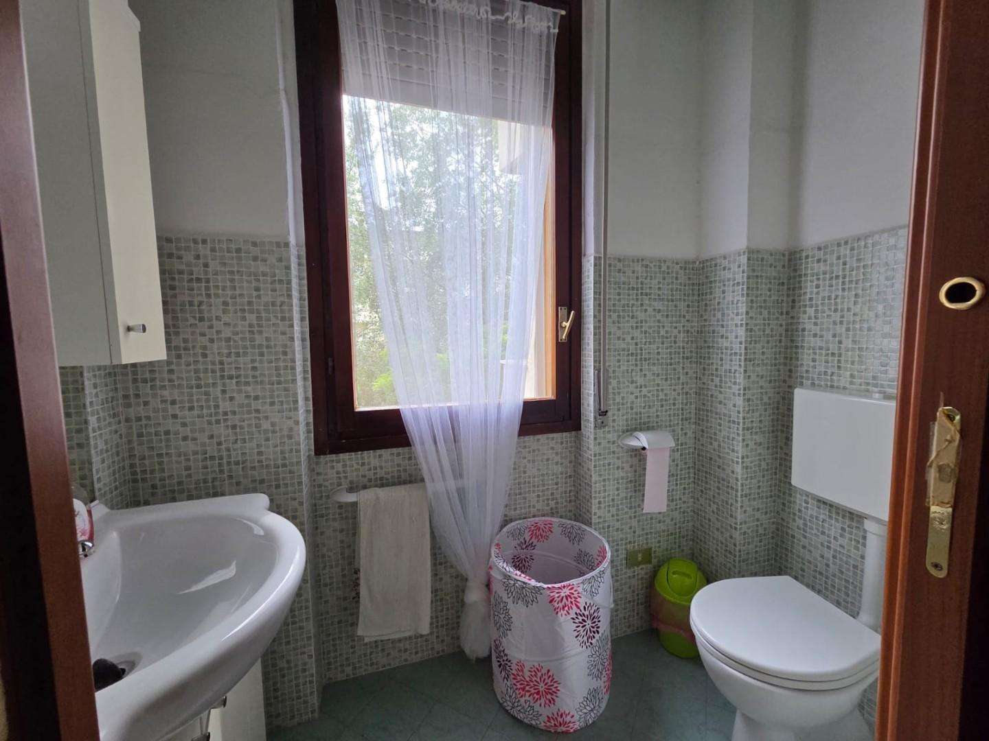  - foto 12