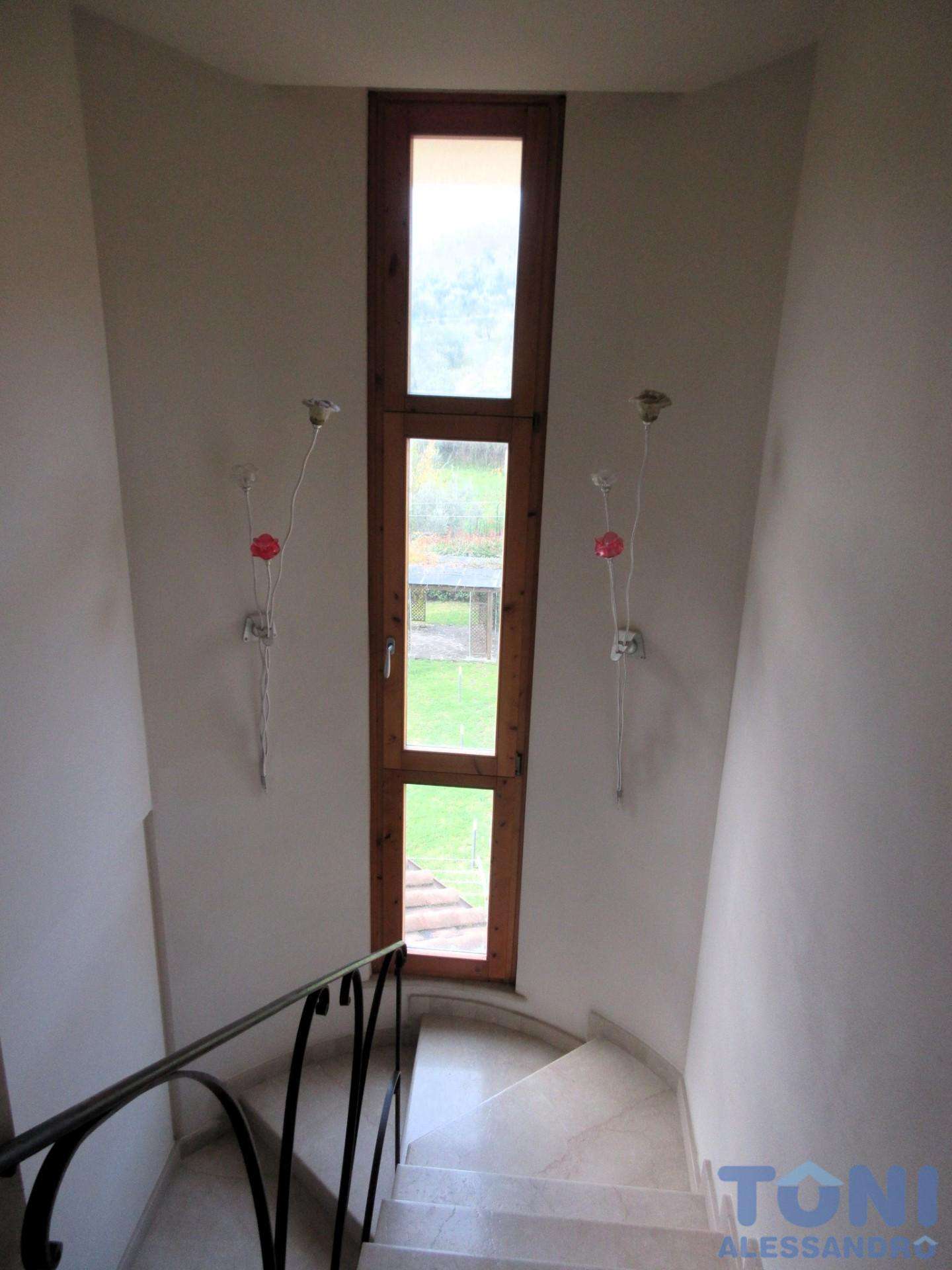  - foto 11