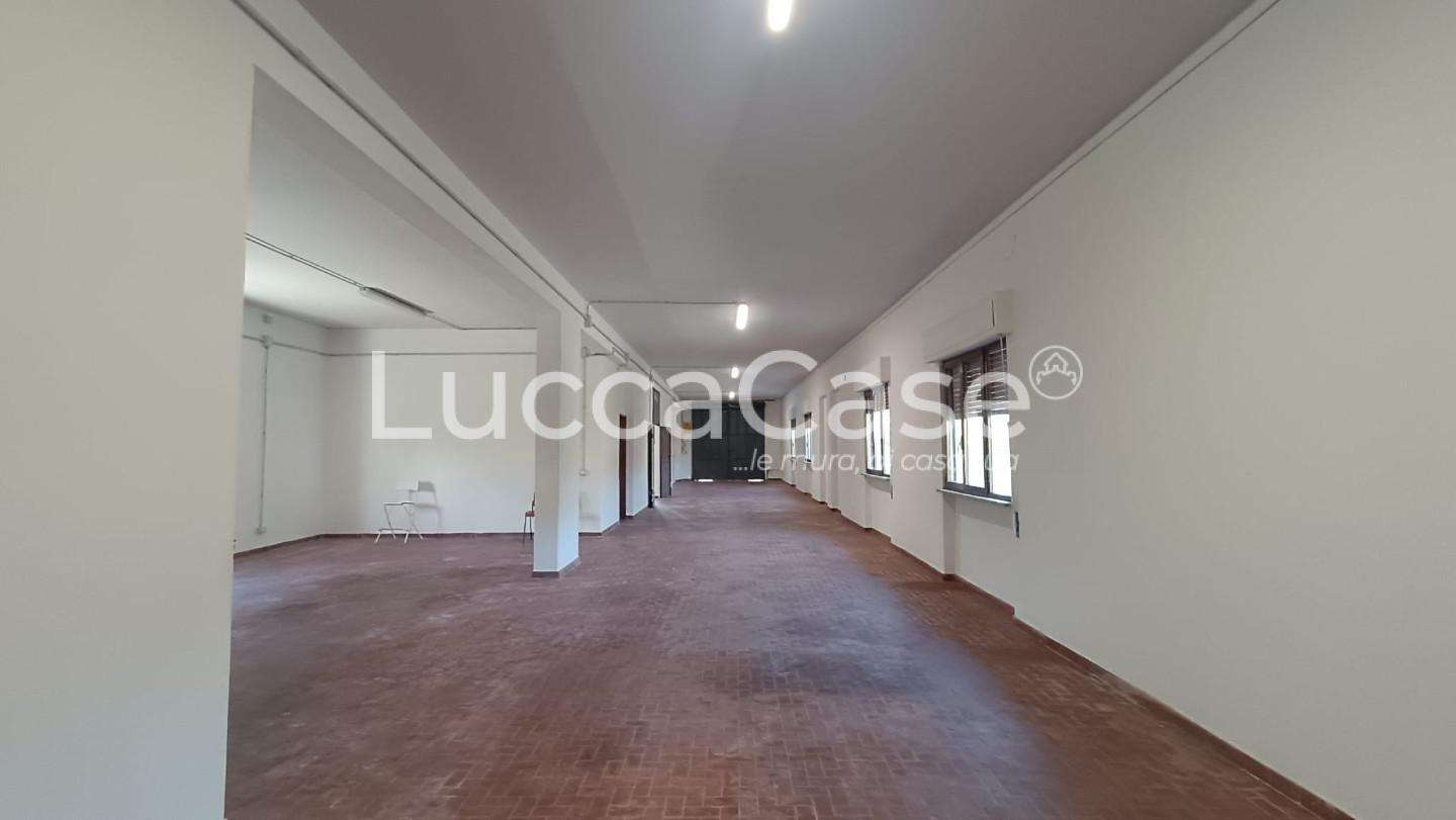  - foto 14