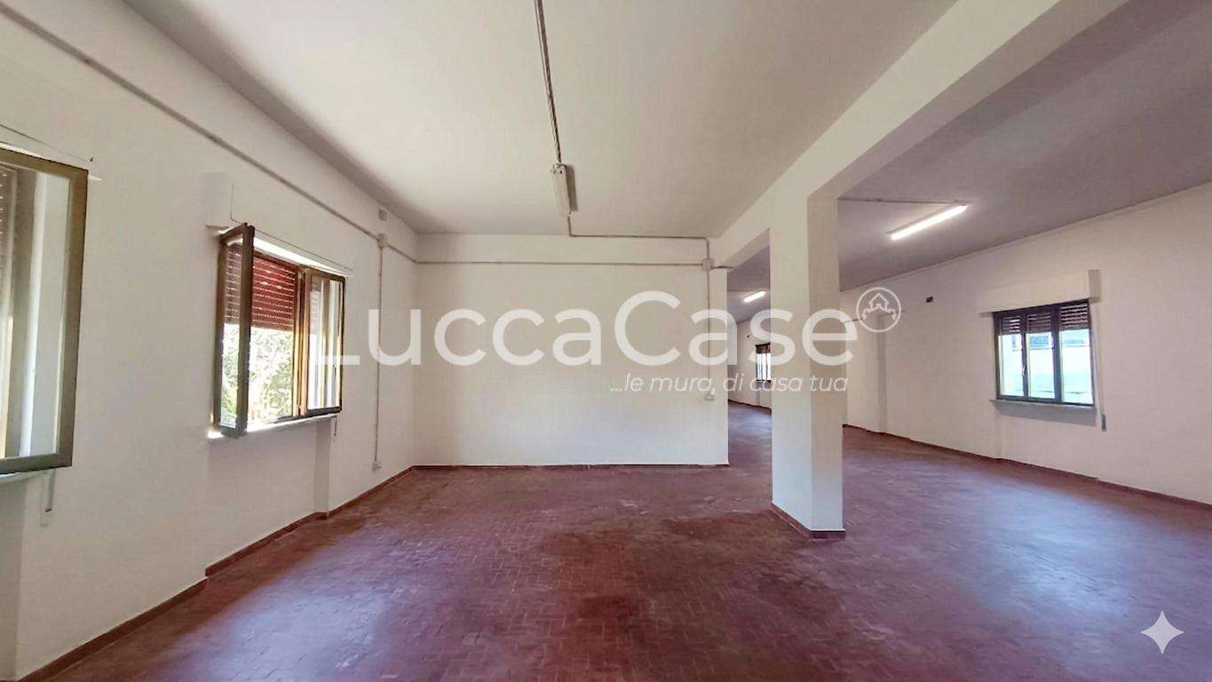 - foto 11