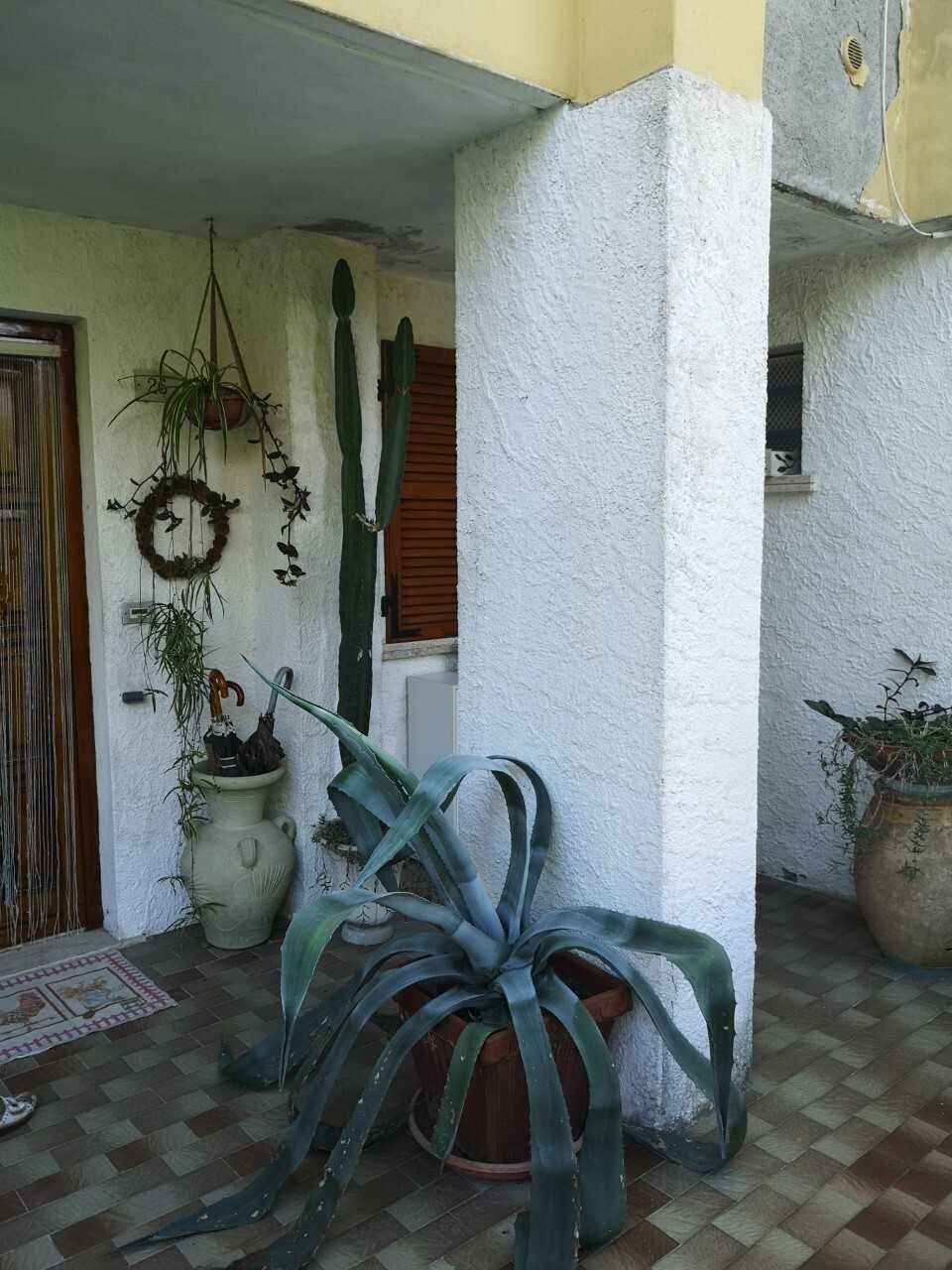  - foto 28