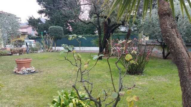  - foto 15