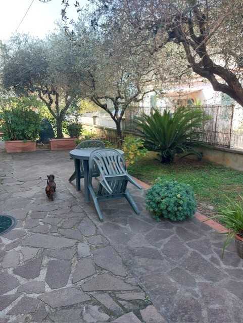  - foto 29