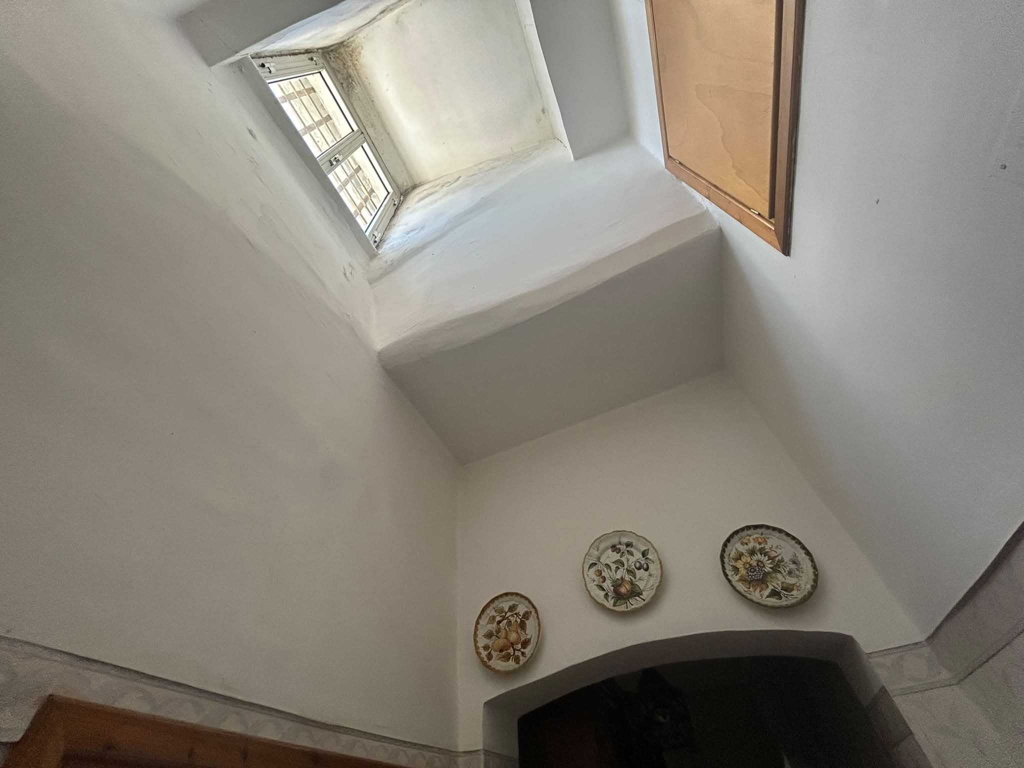  - foto 14