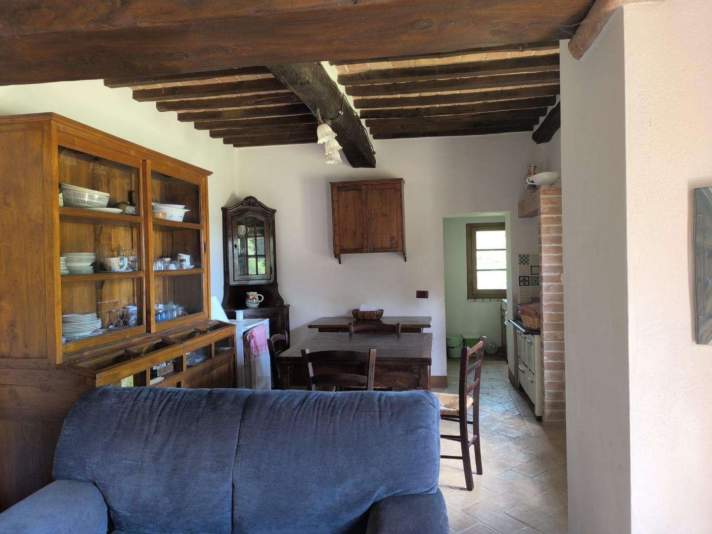  - foto 13