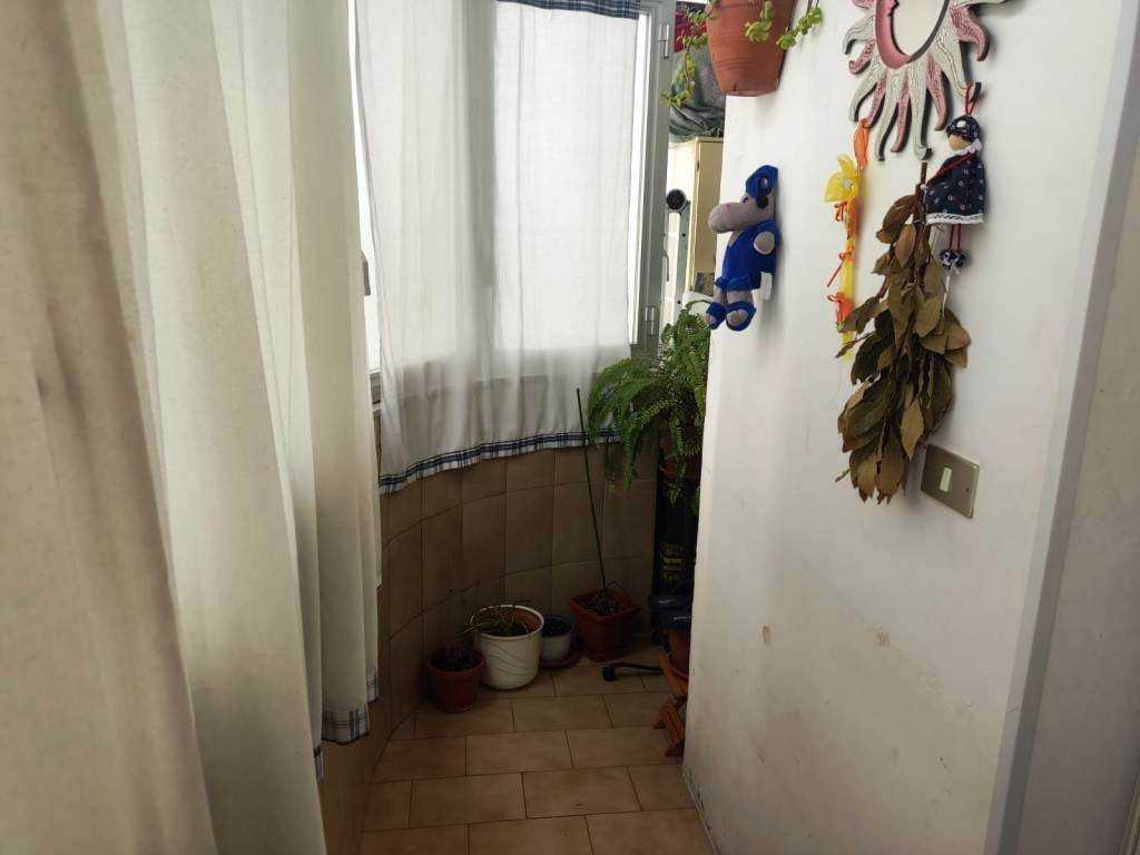  - foto 3