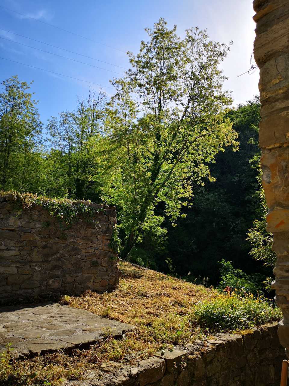  - foto 31
