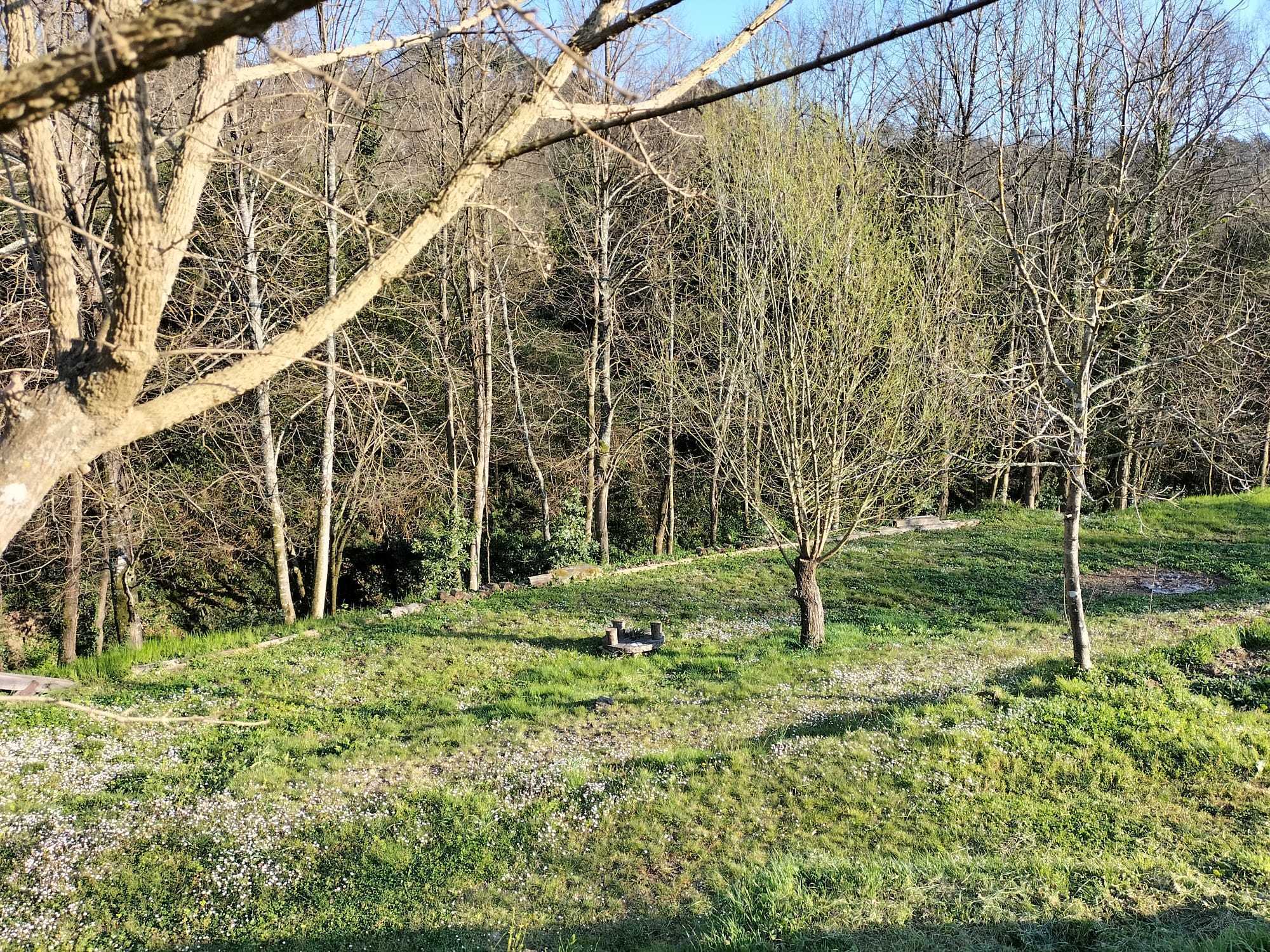  - foto 61
