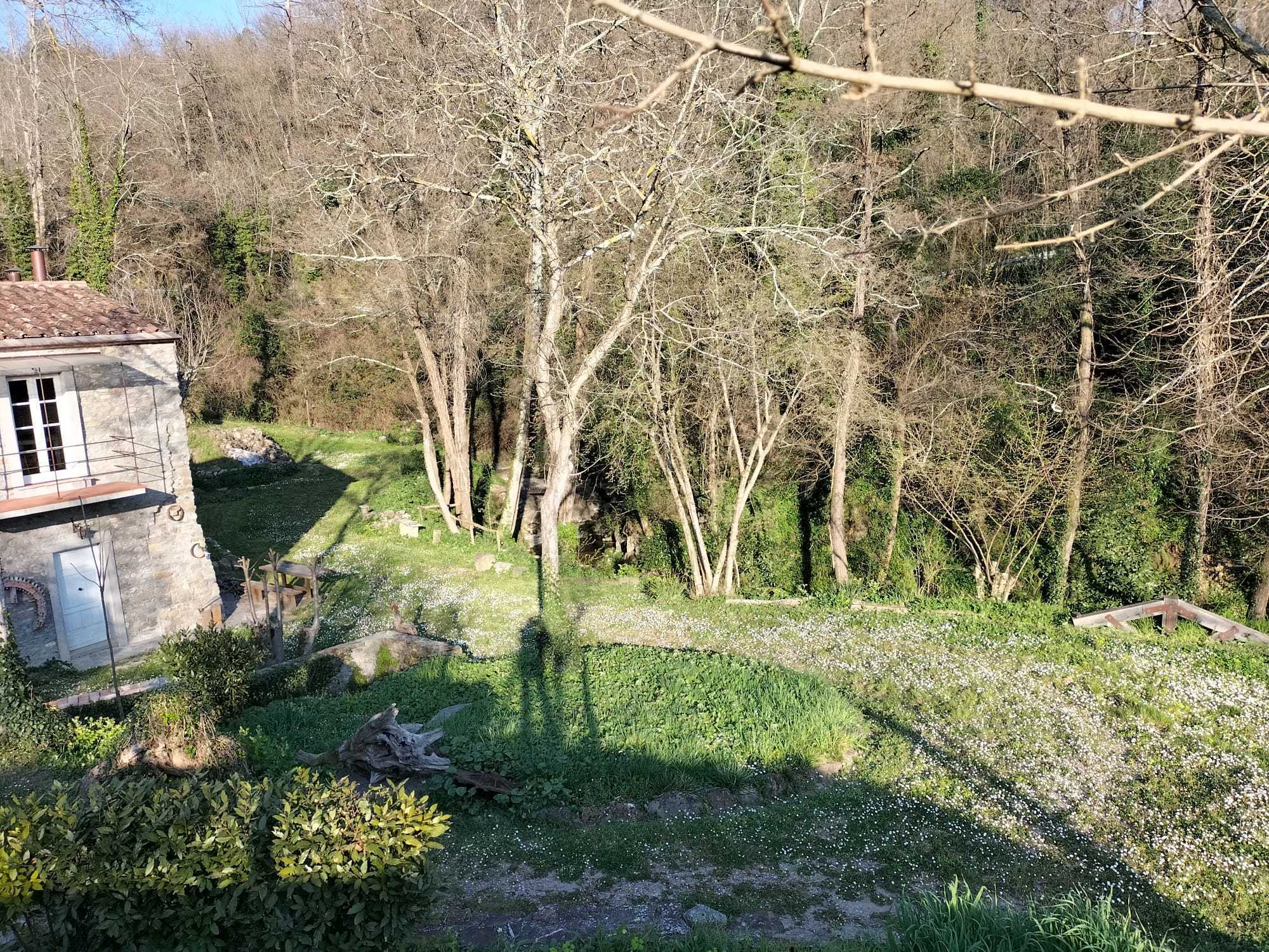  - foto 62