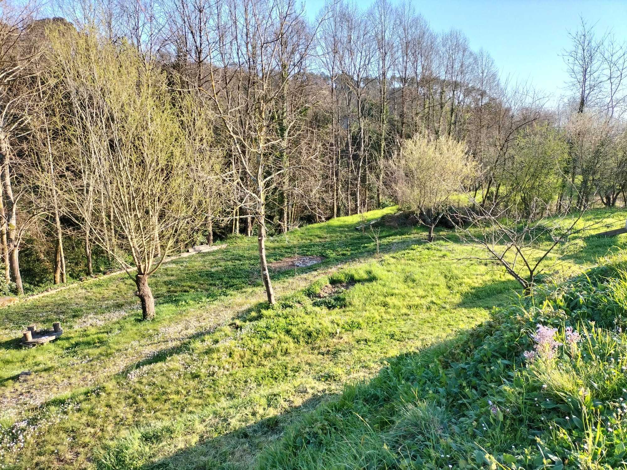  - foto 64