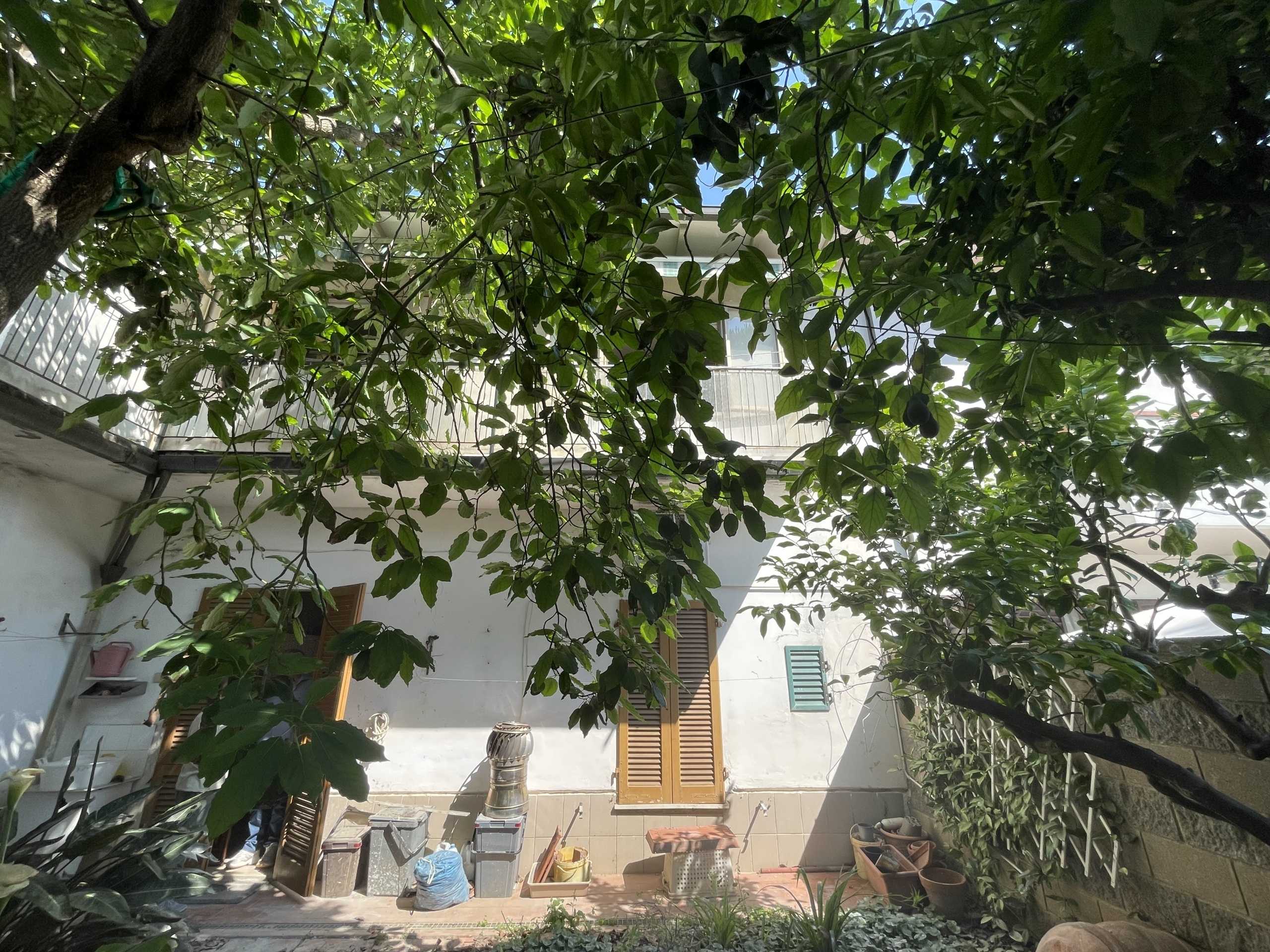  - foto 19