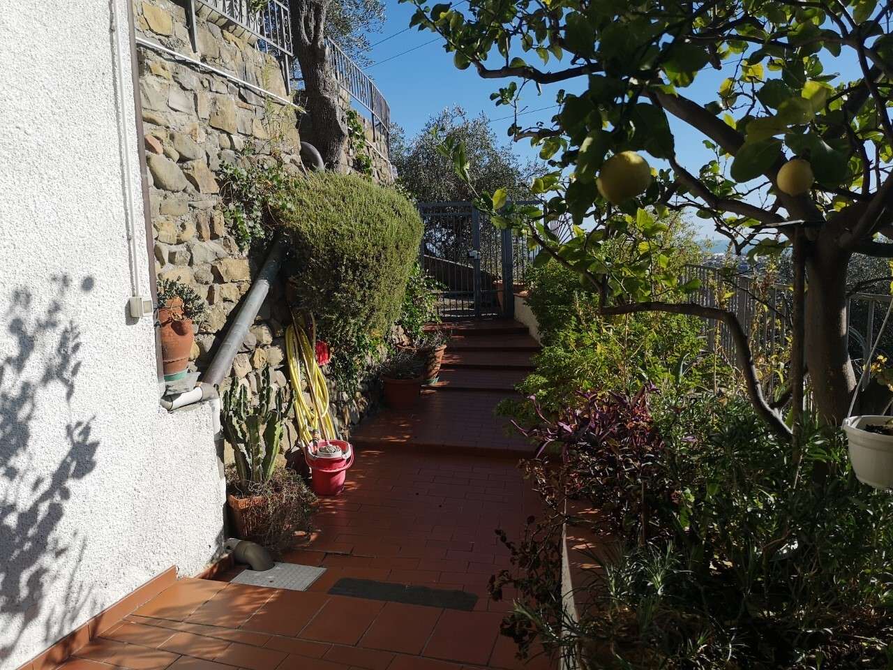  - foto 14
