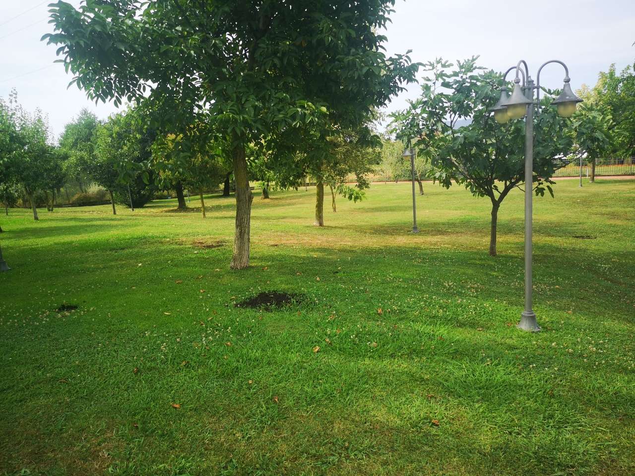  - foto 2