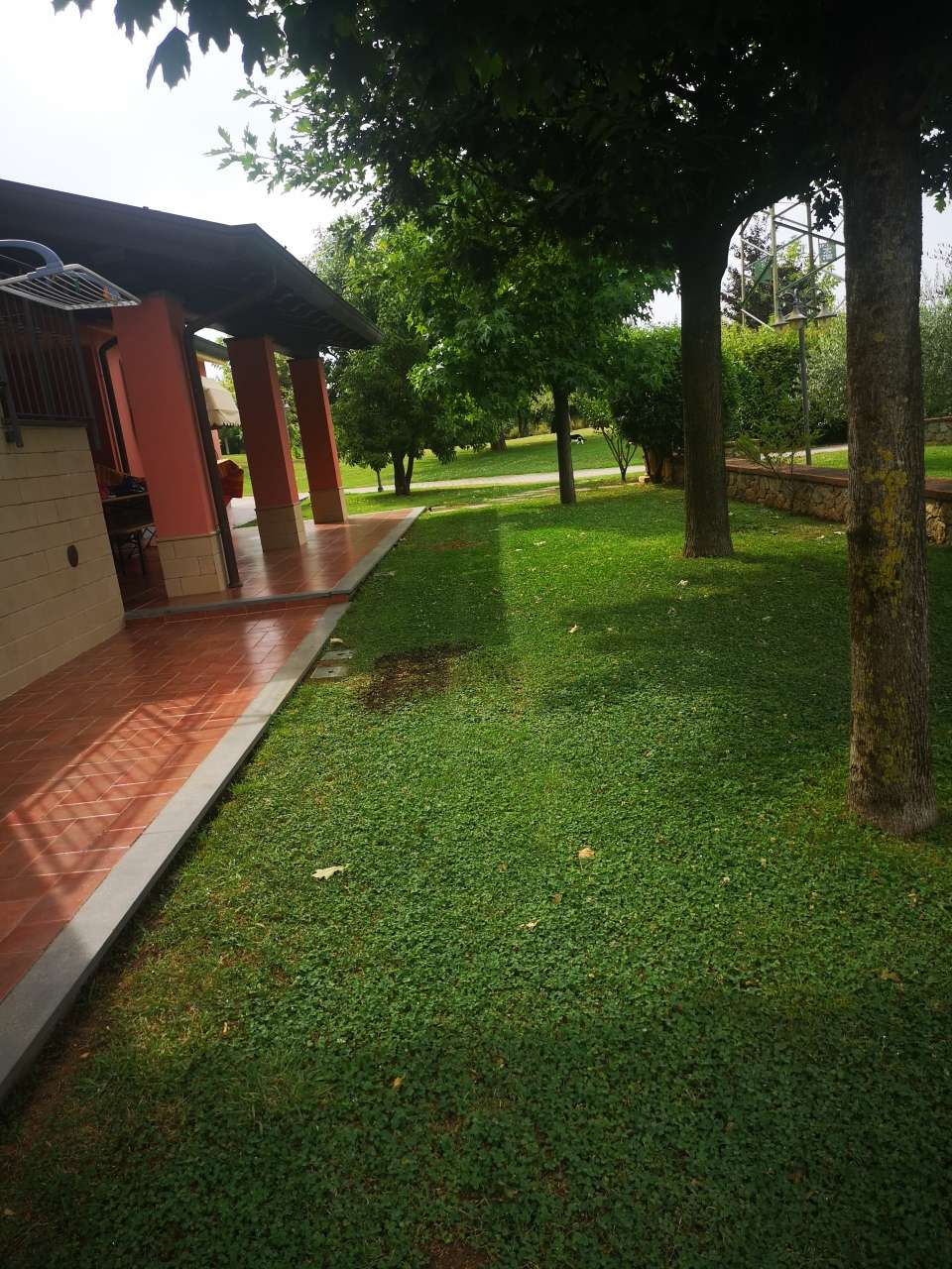  - foto 29