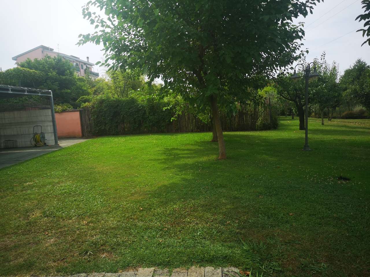  - foto 3