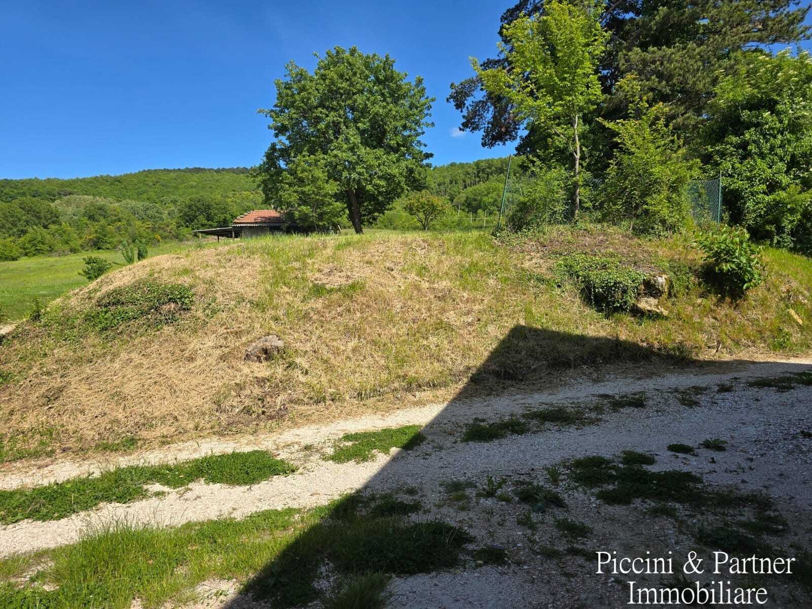 - foto 65