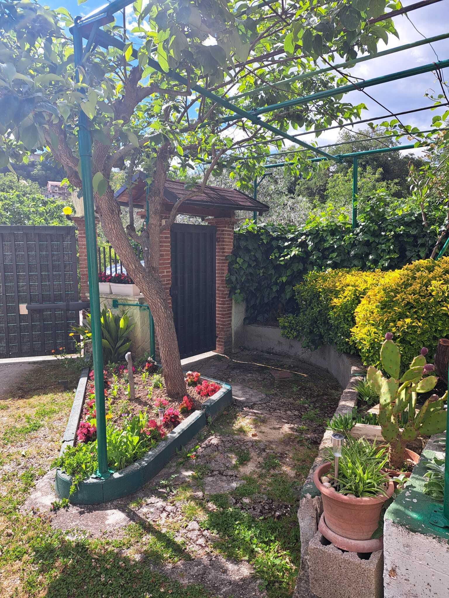  - foto 52