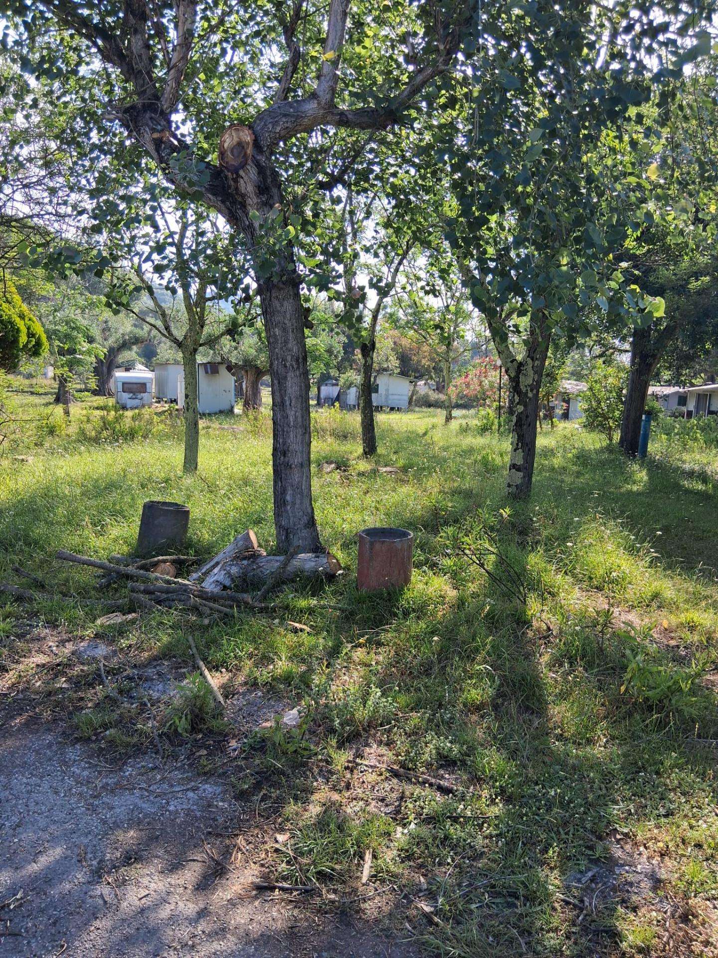  - foto 10