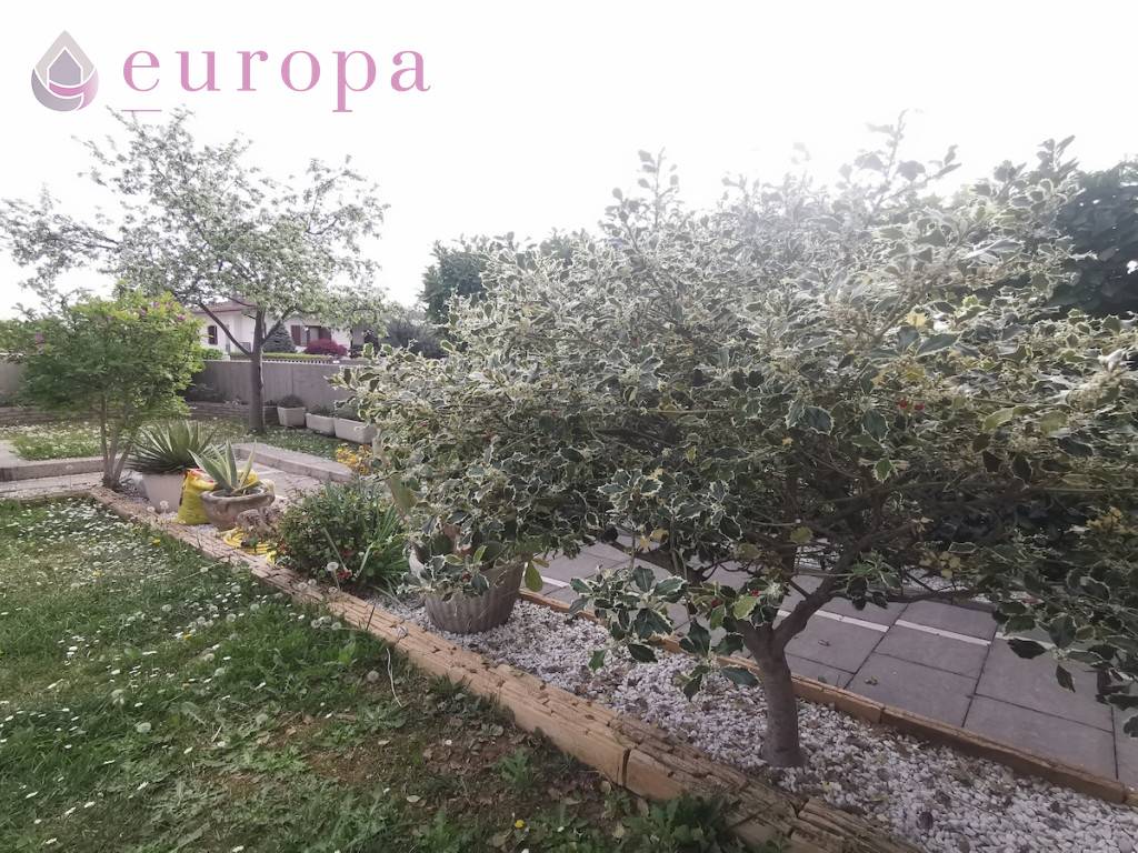  - foto 7