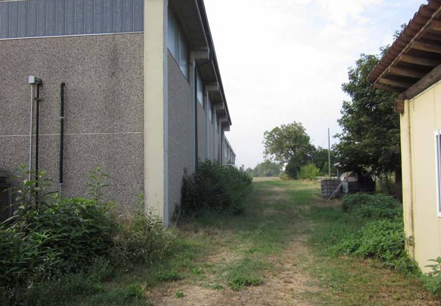 - foto 5