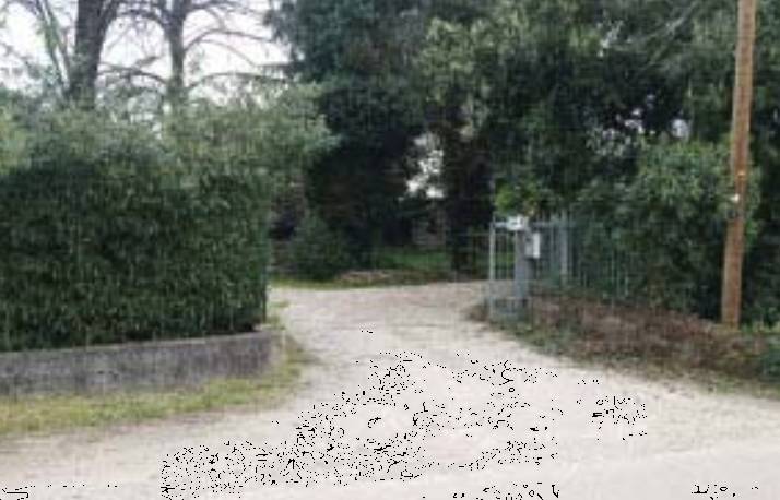  - foto 4