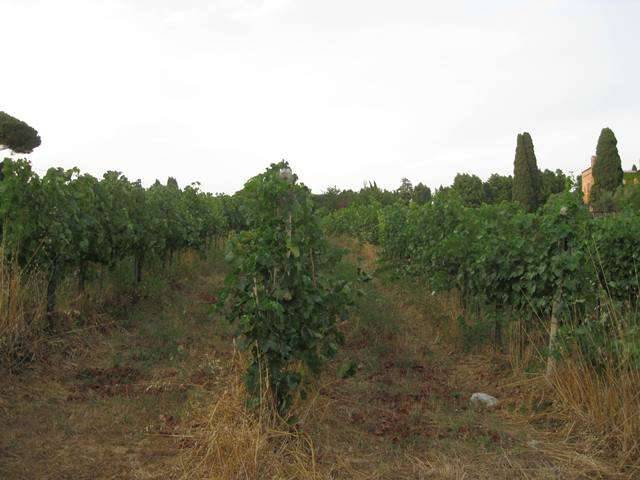  - foto 3