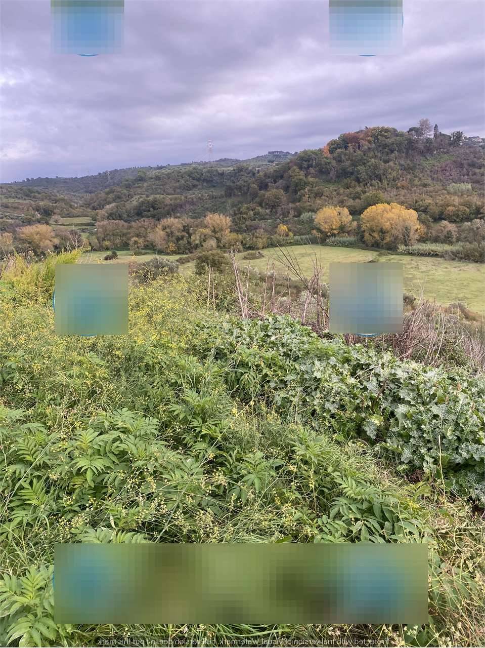  - foto 4