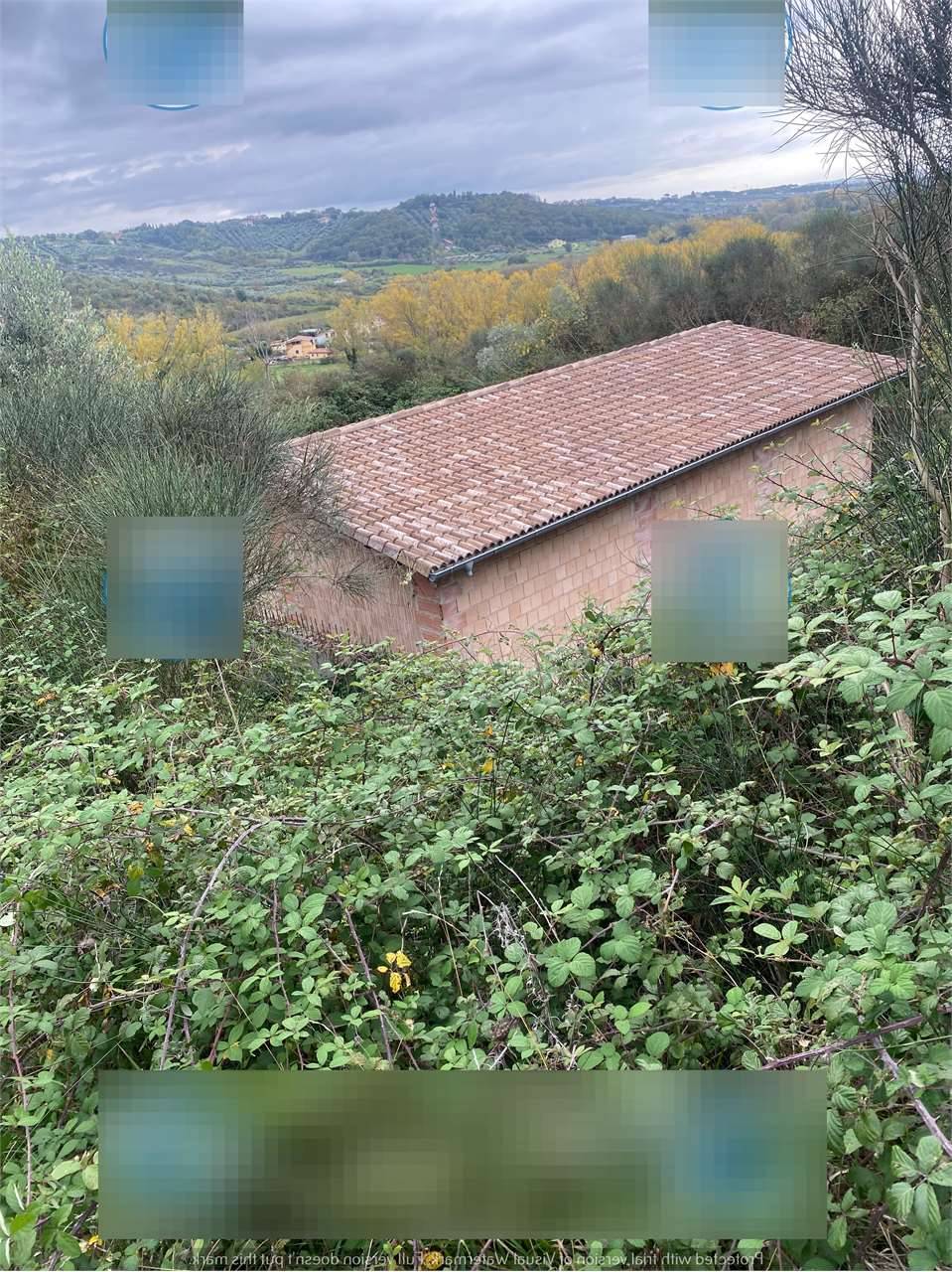  - foto 9