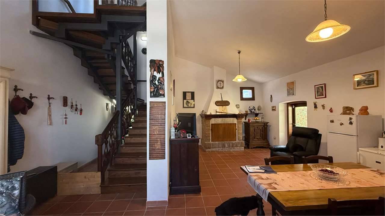 - foto 5