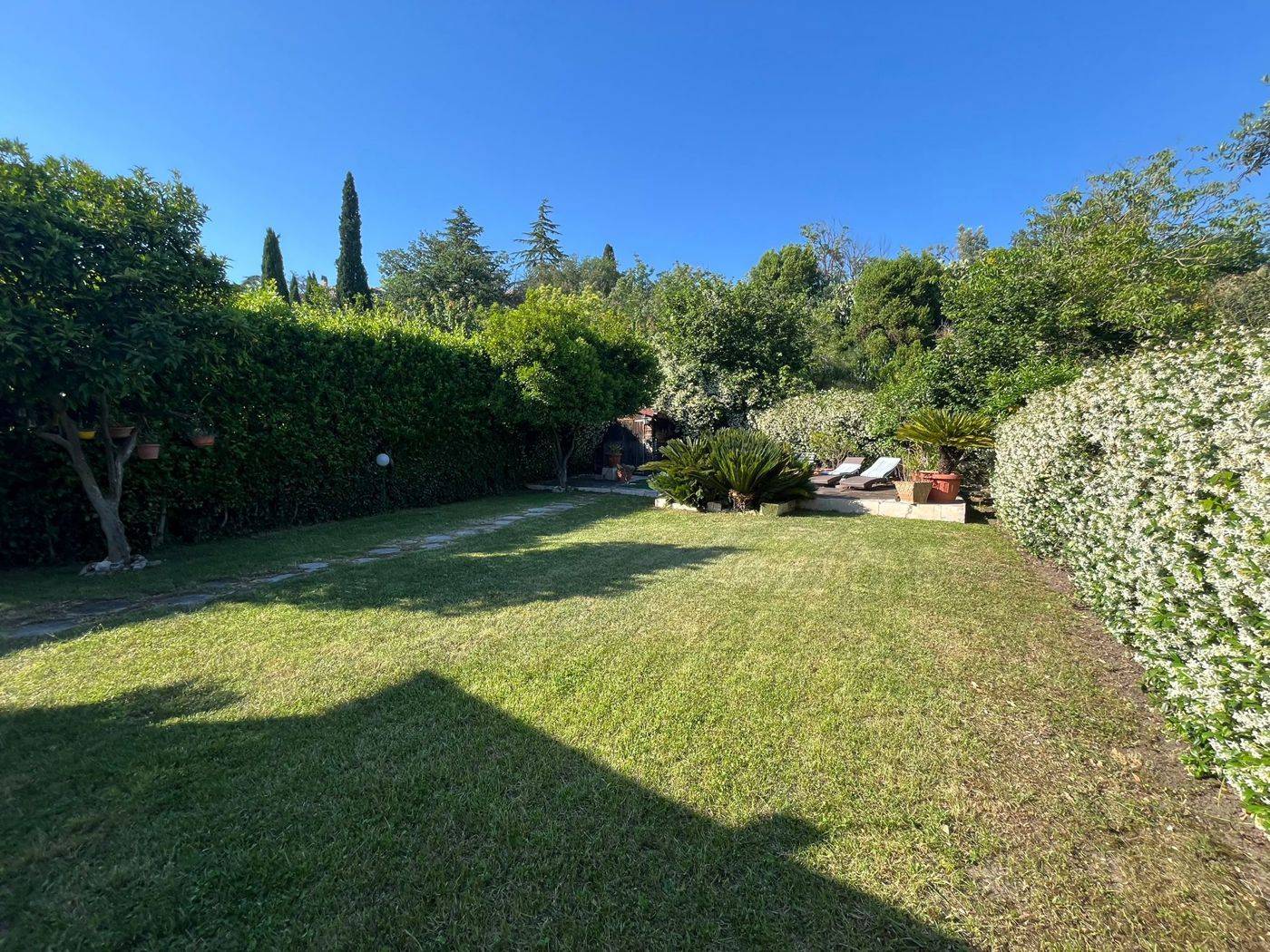 - foto 7