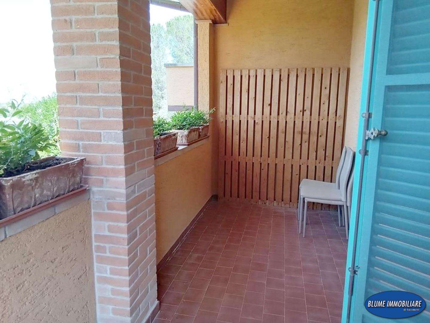  - foto 37