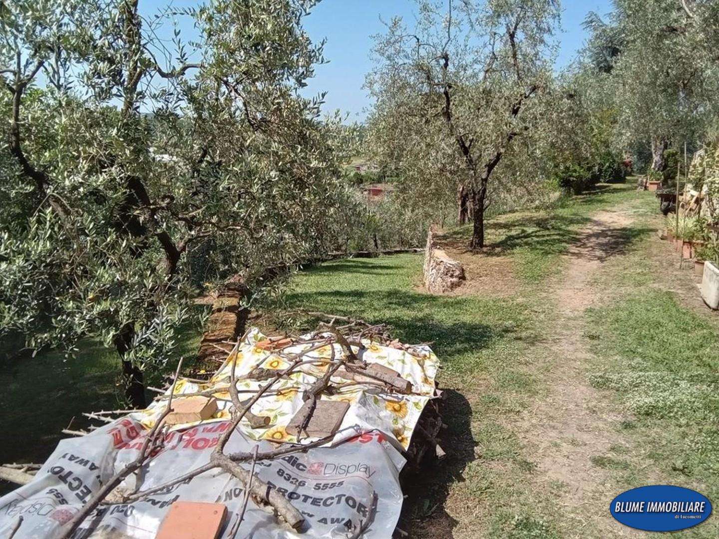  - foto 43