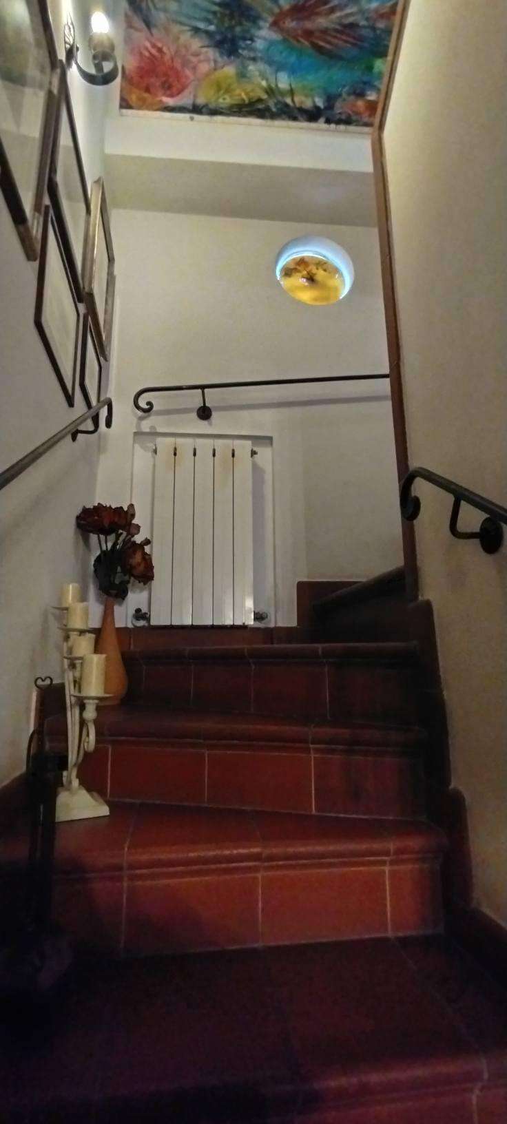  - foto 22