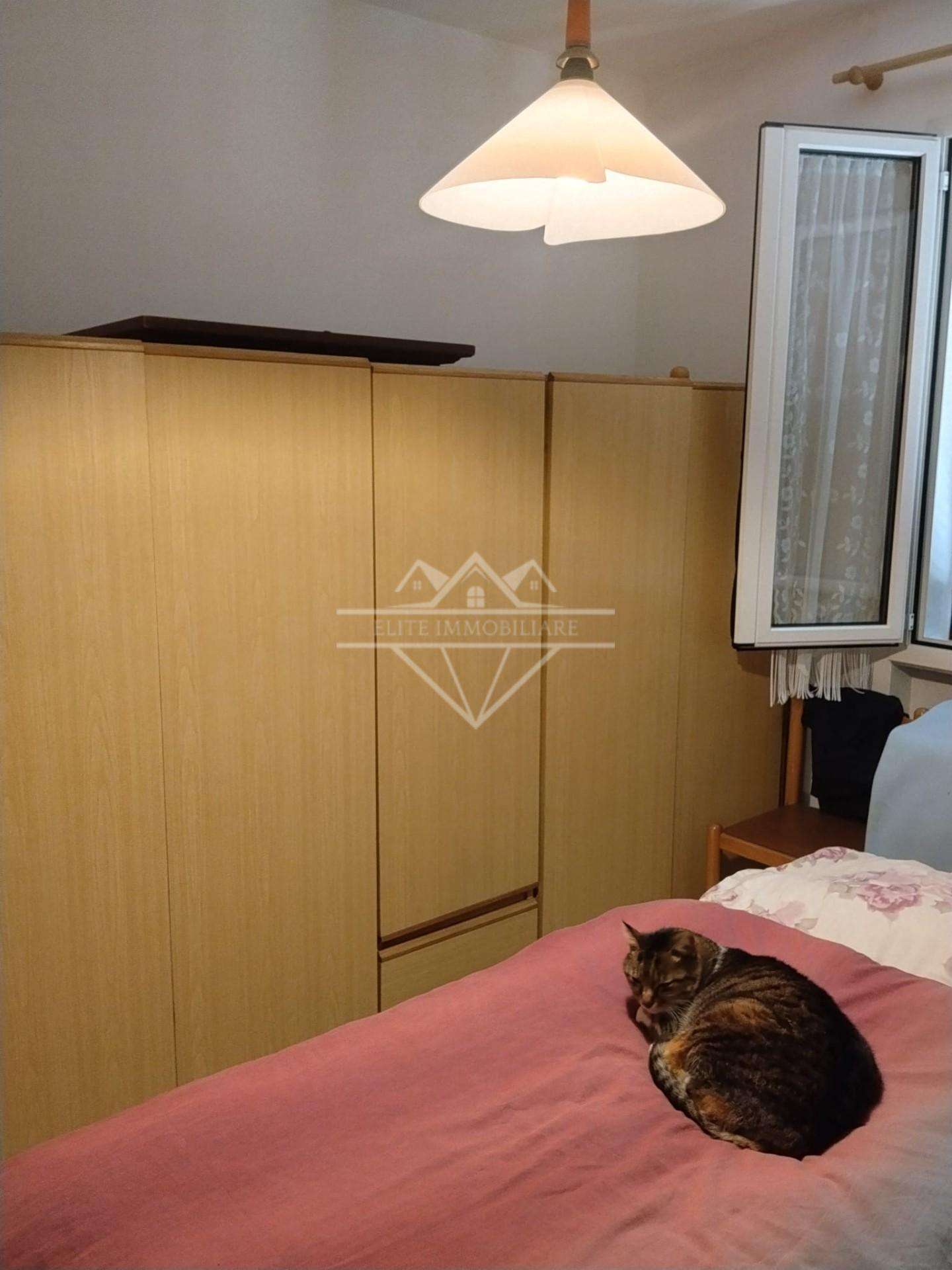  - foto 11