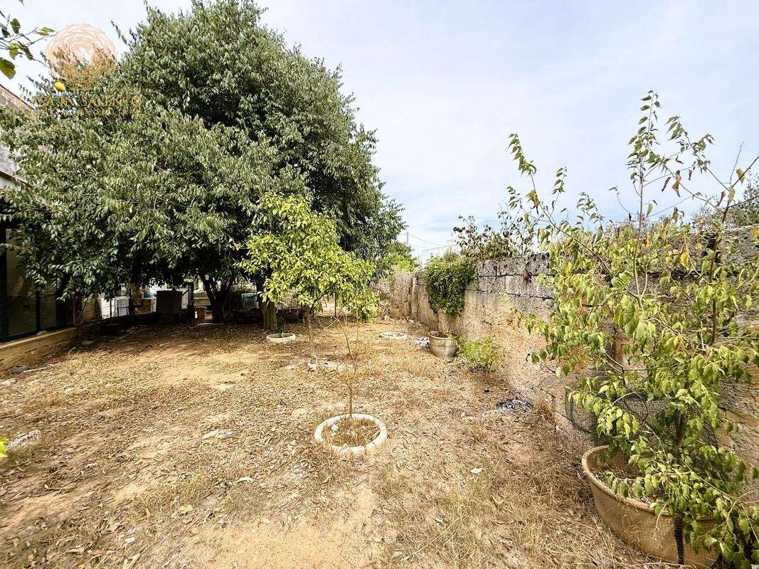  - foto 33