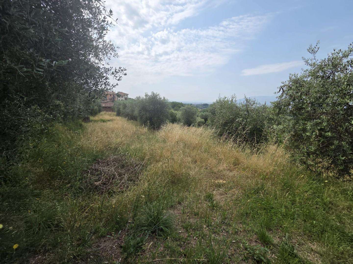  - foto 11