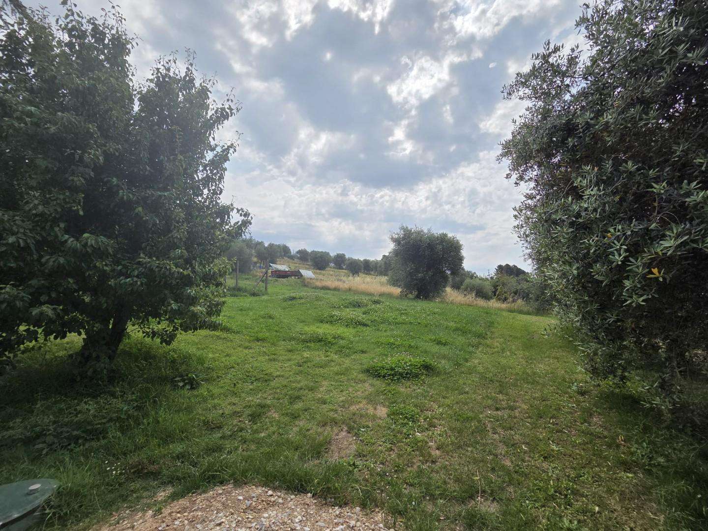  - foto 14