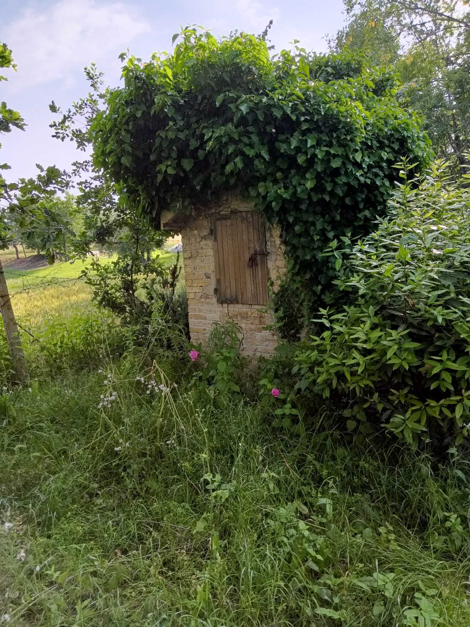  - foto 11