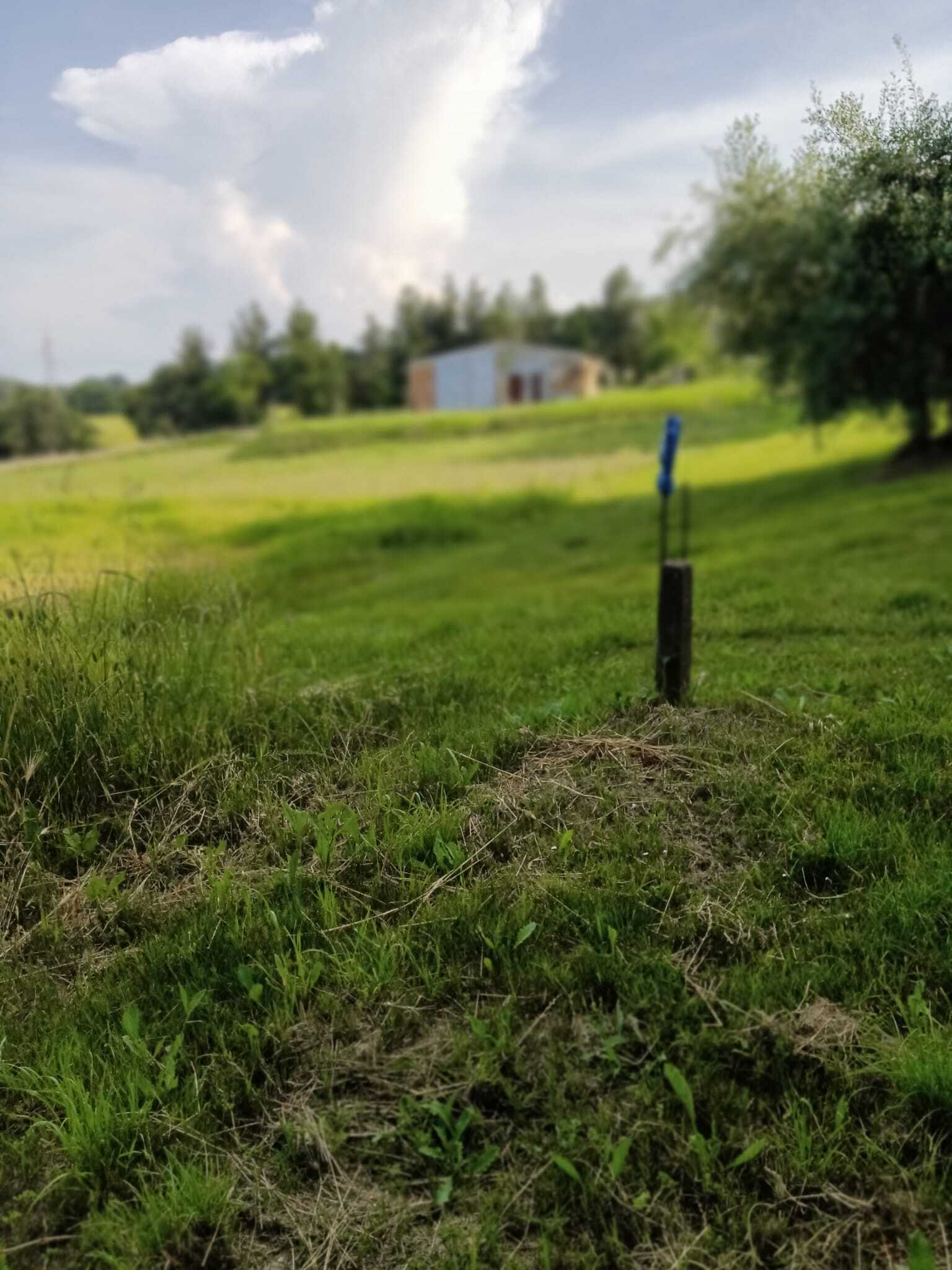  - foto 14
