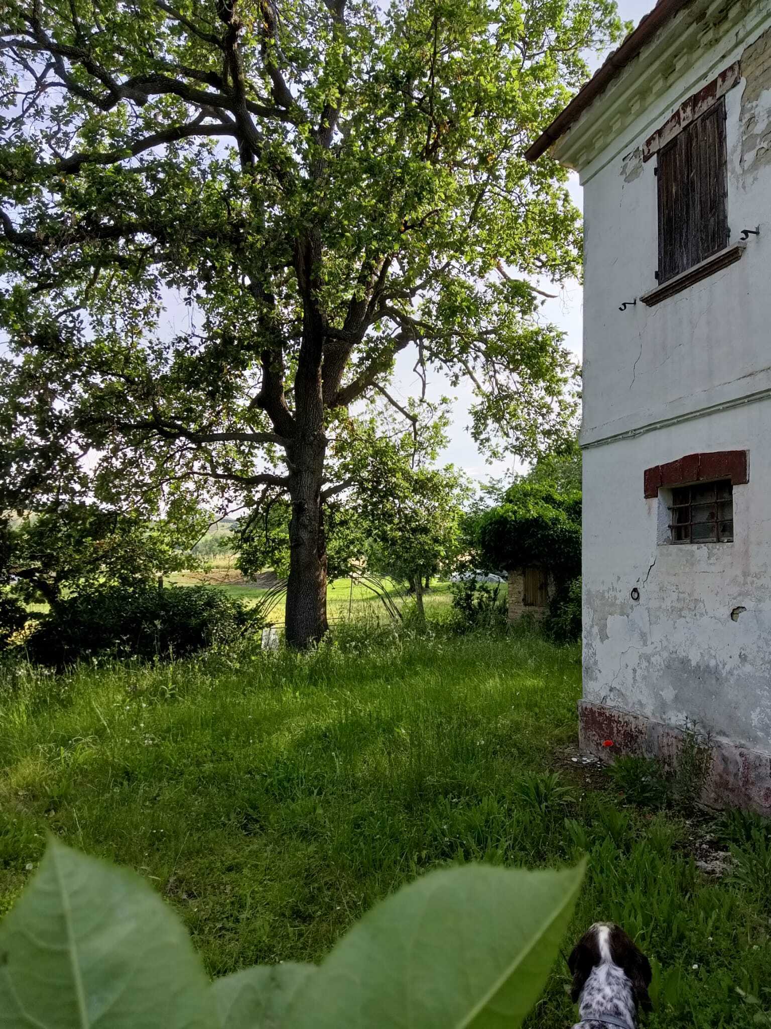  - foto 15