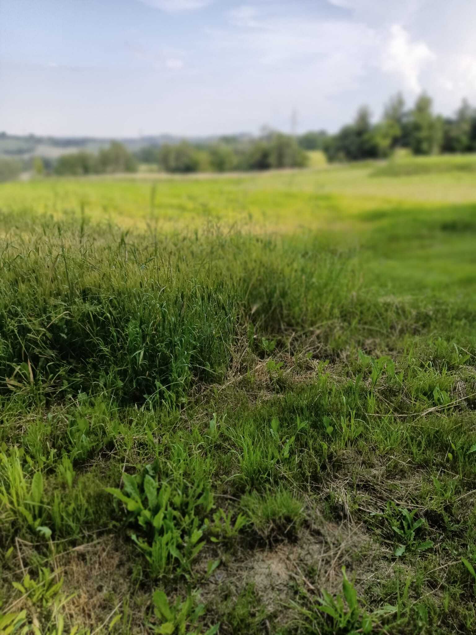  - foto 18