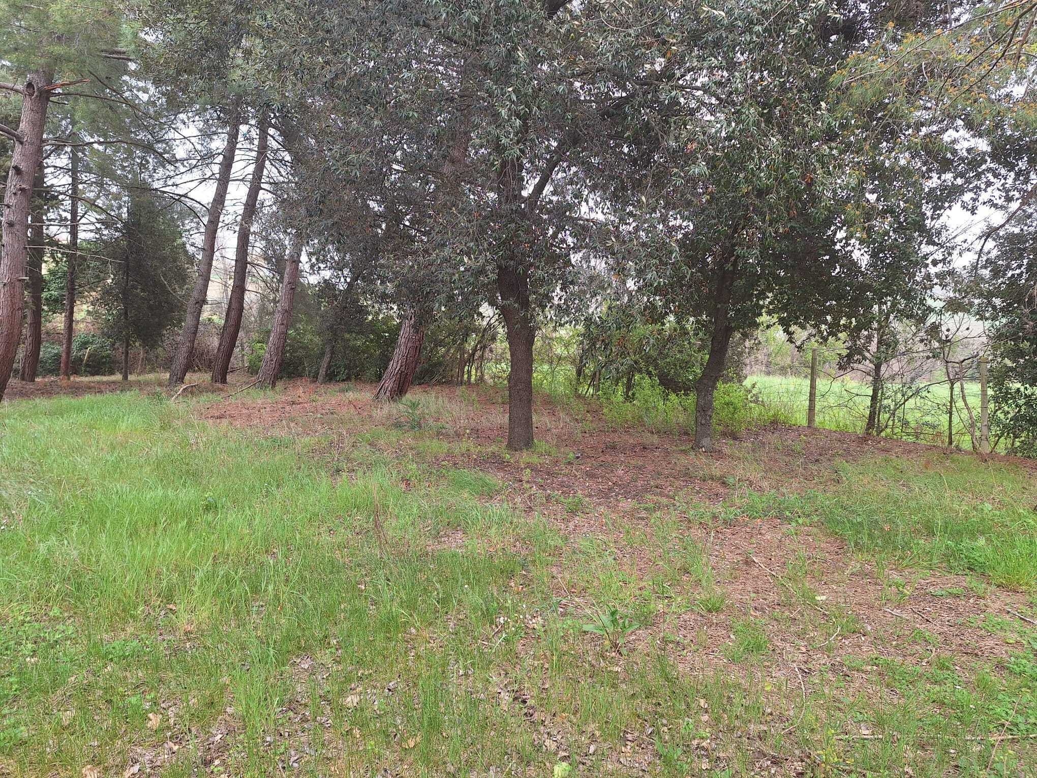  - foto 6
